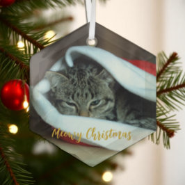 Katten Kerstmis Glas Ornament