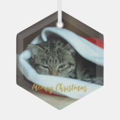 Katten Kerstmis Glas Ornament (Voorkant)