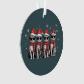 Katten Kerstmis Kat Mam Vakantie Kerstmis Kerstman Ornament (voorkant)