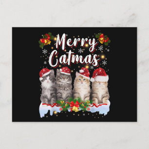 Katten Kerstmis Kerstman Hoed Grappig Vrolijke Kat Briefkaart