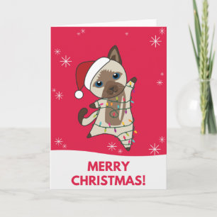Katten Kerstmis Sneeuw Winter Dieren Katten Kaart