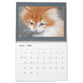 Katten, Kittens, 2016 Calendar KaterinaArt Kalender (Mar 2026)