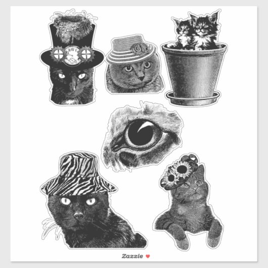 Katten Kittens Dieren Kunst zwarte en witte tekeni Sticker (Vel)