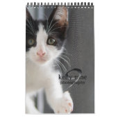 Katten & Kittens door Kelly Nine Fotografie Kalender (Hoes)