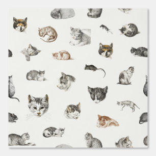 Katten Kittens Muizen Kat Lady Chinoiserie Toile Behang