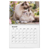 Katten & Kittens Schitterende Kalender (Mar 2027)