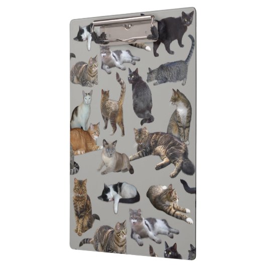 Katten Klembord (Links)