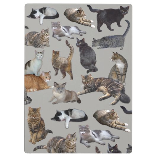Katten Klembord (Achterkant)