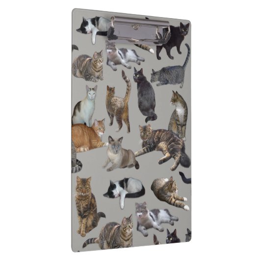 Katten Klembord (Rechts)