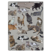 Katten Klembord (Voorkant)