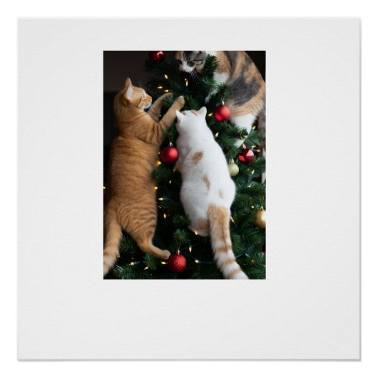 Katten klimmen in kerstboom perfect poster (Voorkant)