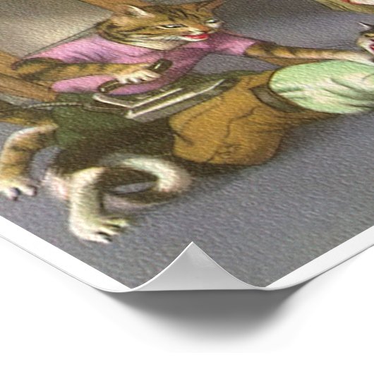 KATTEN: Knipperaars Poster kunstseminigloss (Hoek)