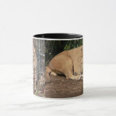 Katten Koffiekoffie-Mok Mok (Midden)