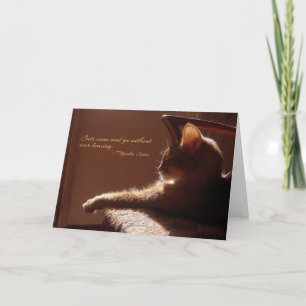 Katten komen en gaan Kaart