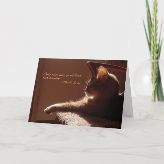 Katten komen en gaan Kaarten (Voorkant)