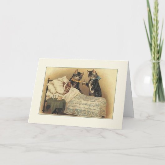  katten krijgen goed nota Kaart (Voorkant)