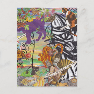 Katten kunnen een Koningin Briefkaart bekijken