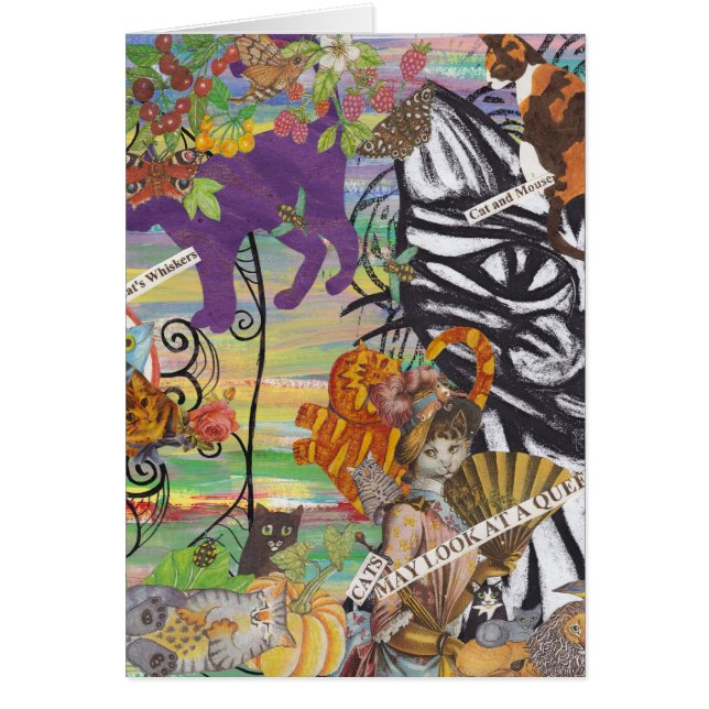 Katten kunnen een koninginnenkaart bekijken (Voorkant)