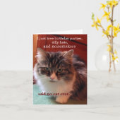 Katten kunnen praten over Kaart (Gele Bloem)