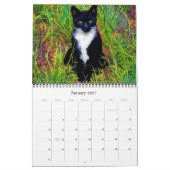 Katten Kunstfotografie Kalender (Jan 2027)