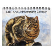 Katten Kunstfotografie Kalender (Hoes)