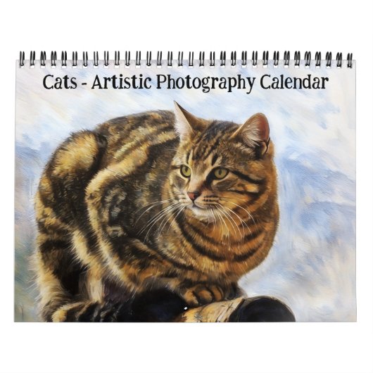 Katten Kunstfotografie Kalender (Hoes)