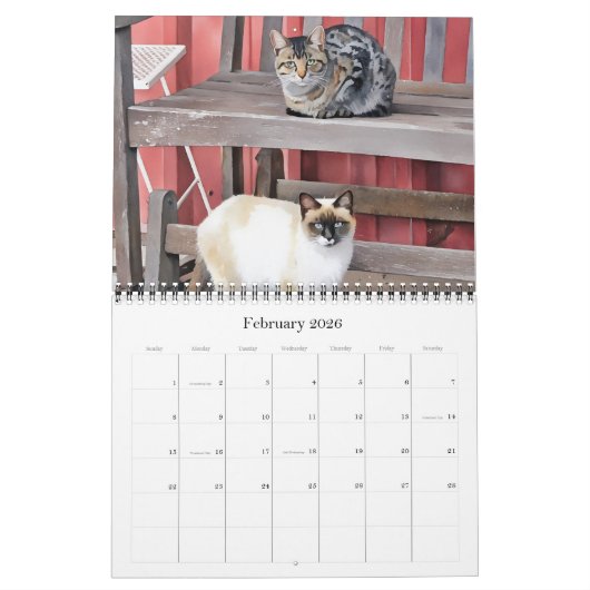 Katten Kunstfotografie Kalender (Feb 2026)