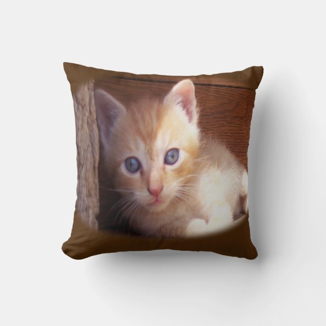 Katten Kussen (Voorkant)