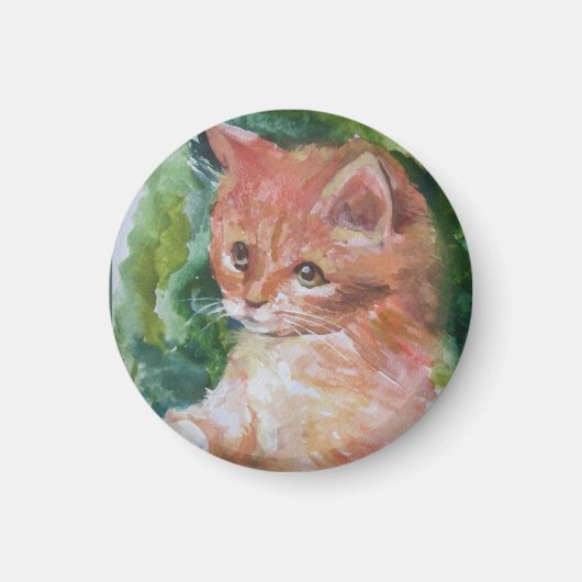 Katten kussen 2m magneet (Voorkant)