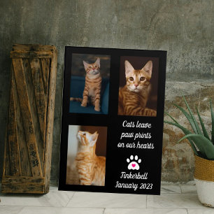 Katten laten pauwafdrukken   Cat Memorial Photo Co Foto Afdruk