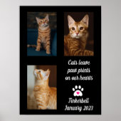 Katten laten pauwafdrukken | Cat Memorial Photo Co Poster (Voorkant)
