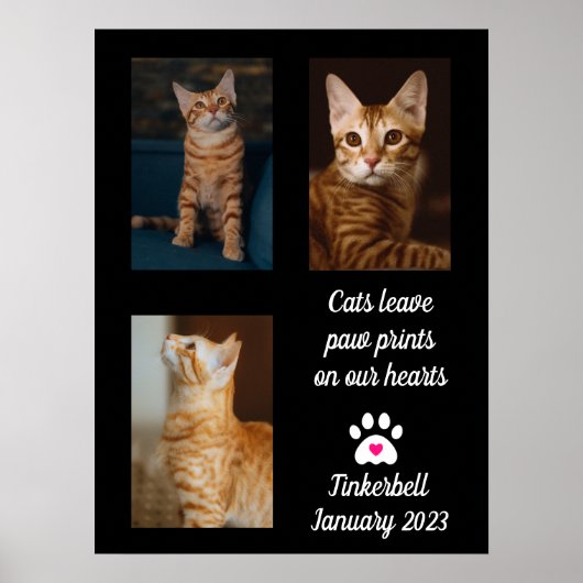Katten laten pauwafdrukken | Cat Memorial Photo Co Poster (Voorkant)
