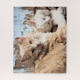 Katten Legpuzzel