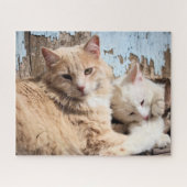 Katten Legpuzzel (Horizontaal)