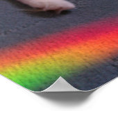 Katten = Licht & Liefde Poster (Hoek)