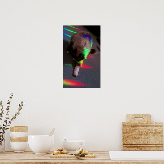 Katten = Licht & Liefde Poster (Keuken)