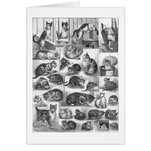 Katten, Louis Wain