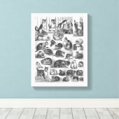 Katten, Louis Wain Canvas Afdruk (Insitu (Houten vloer))