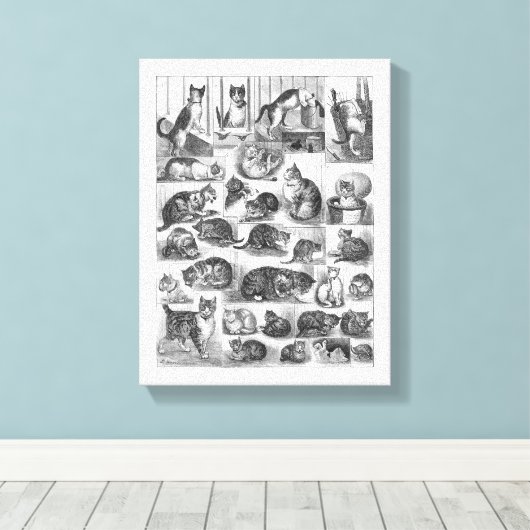 Katten, Louis Wain Canvas Afdruk (Insitu (Houten vloer))