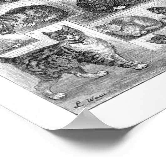 Katten, Louis Wain Poster (Hoek)