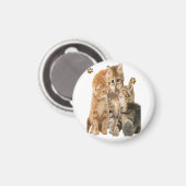 Katten Magneet (Voorkant / Achterkant)