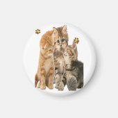 Katten Magneet (Voorkant)