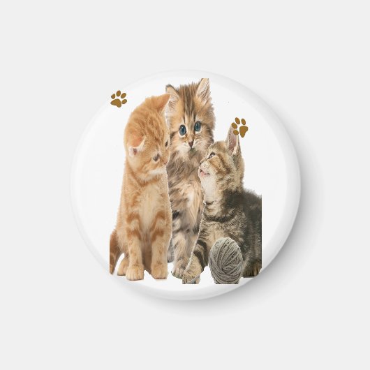 Katten Magneet (Voorkant)