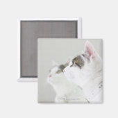 Katten Magneet (Voorkant / Achterkant)