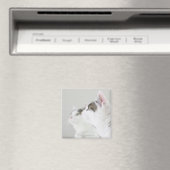 Katten Magneet (Insitu (Vaatwasser))