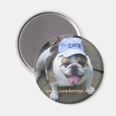 KATTEN Magneet: Magneet (Voorkant / Achterkant)