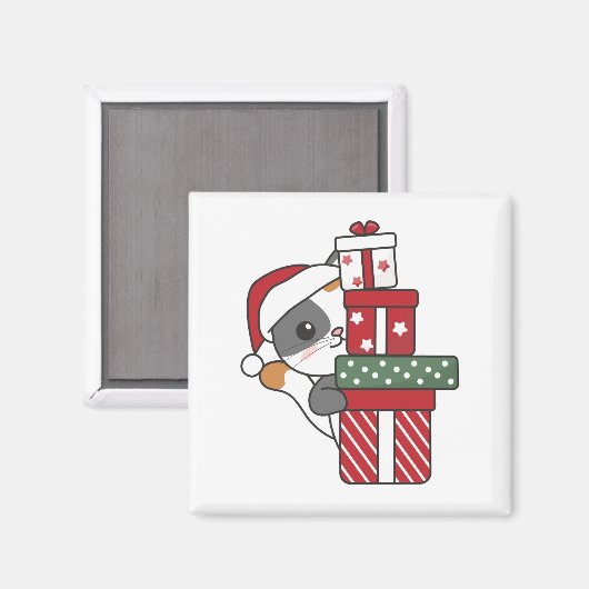 Katten Magnet (Voorkant / Achterkant)