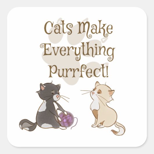 Katten maken alles tot perfecte stickers (Voorkant)