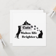Katten maken het leven vrolijker – Schattige katt