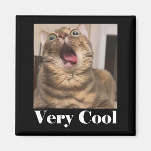 Katten Meme Grafisch Domme Kattenhumor Grappige Ka Magneet